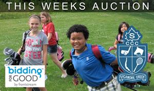 Auction Item for Youth on Course