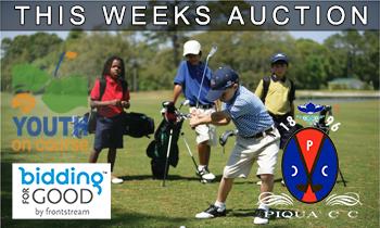 Opening Auction Item