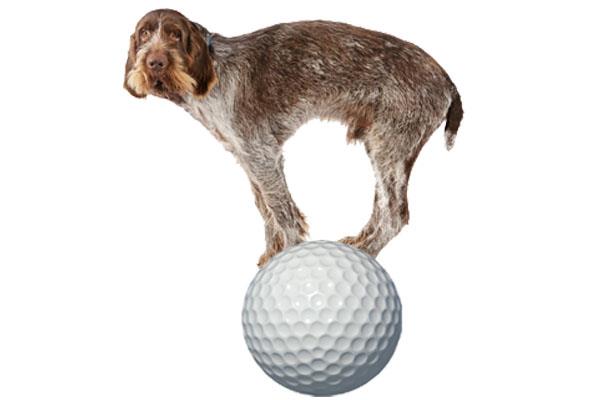 Golfer_Sleeping