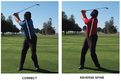 reverse_spine_angle