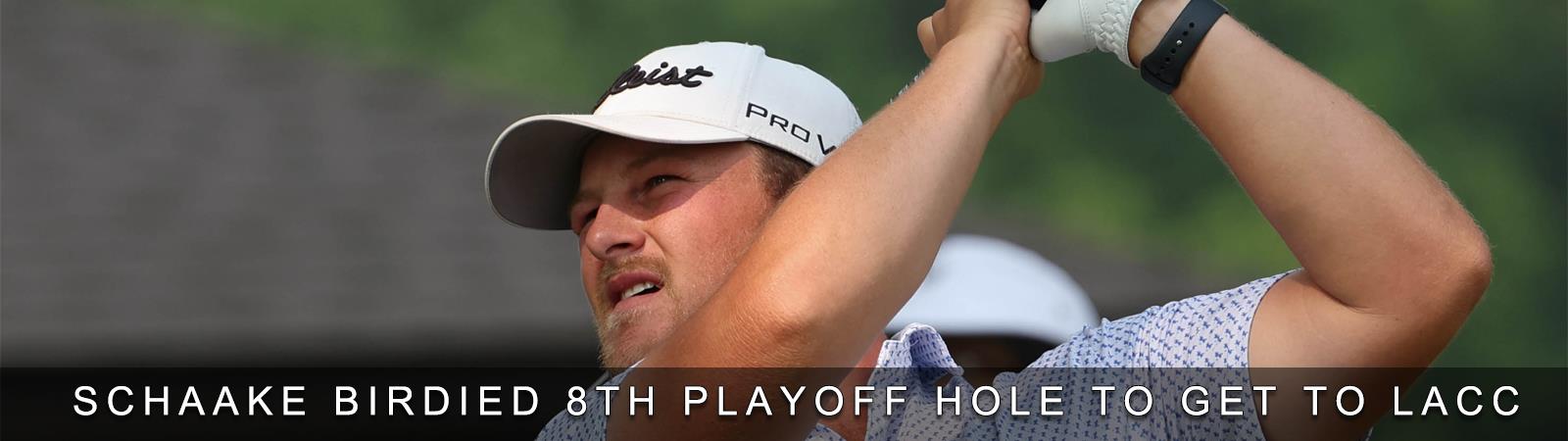 Schaake_Playoff_Banner