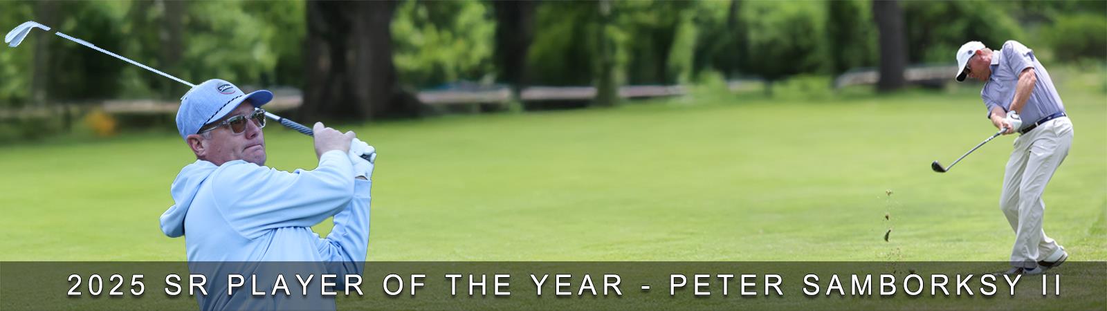 Sr_Player_of_the_Year