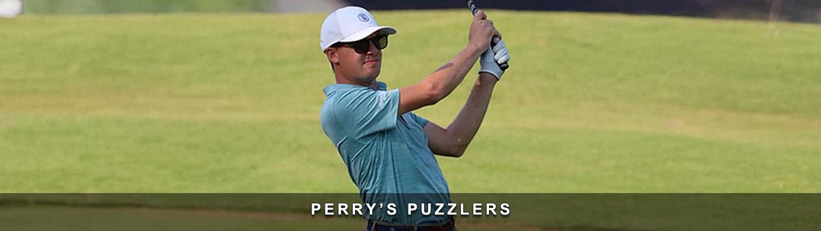 Perry_Puzzlers_Banner