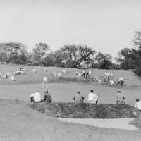 1924 APL Community (3)