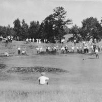 1924 APL Community 10 Green