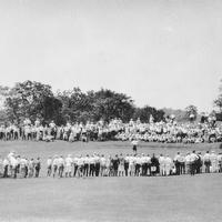 1924 APL Community 5 Green