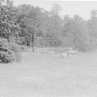 Community Golf Course Photos