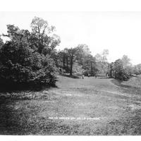  13 Green on Hills Course