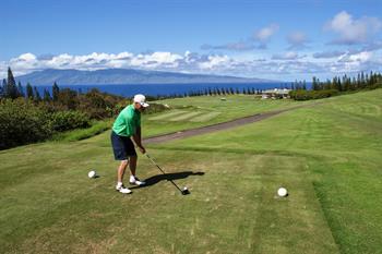 David_Hawaii_-_David_Fox